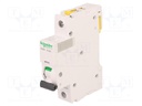 Circuit breaker; 230VAC; Inom: 32A; Poles: 1; DIN; Charact: B; 6kA