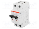 Circuit breaker; 400VAC; Inom: 4A; Poles: 2; DIN; Charact: C; 6kA