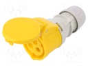 Connector: AC supply; plug; female; 16A; 110VAC; IP44; Layout: 2P+PE