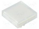 Actuator lens; 22mm; 61; Colour: transparent; Mat: plastic; 20x20mm