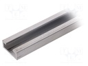 Mounting rail for protection rubber strip; -20÷55°C; 2m