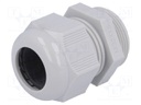 Cable gland; M32; IP68; Mat: polyamide; grey