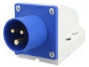 Connector: AC supply; socket; male; 16A; 230VAC; IEC 60309; IP44