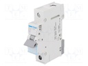 Circuit breaker; 230VAC; Inom: 25A; Poles: 1; DIN; Charact: C; 6kA