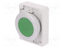 Switch: push-button; Stabl.pos: 2; 30mm; green; none; IP67; Pos: 2