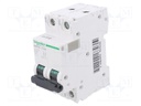 Circuit breaker; 500VDC; Inom: 0.5A; Poles: 2; DIN; Charact: C; 20kA