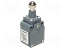 Limit switch; stainless steel sphere Ø12,7mm; NO + NC; 6A; PG11