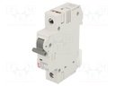 Circuit breaker; 230/400VAC; Inom: 1A; Poles: 1; DIN; Charact: C; 6kA