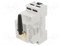 Programmable time switch; Range: 1 year; SPDT x2; 230VAC; DIN