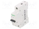 Circuit breaker; 230/400VAC; Inom: 20A; Poles: 1; DIN; Charact: B