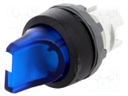 Switch: rotary; Stabl.pos: 2; 22mm; blue; Illumin: MLB-1; IP66; Pos: 3