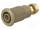 Socket; 4mm banana; 32A; brown; gold-plated; Overall len: 33mm