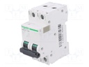 Circuit breaker; 500VDC; Inom: 63A; Poles: 2; DIN; Charact: C; 20kA