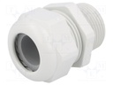 Cable gland; NPT1"; IP68; Mat: polyamide; light grey; UL94V-0