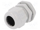 Cable gland; M25; IP68; Mat: polyamide; light grey