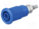 Socket; 4mm banana; 32A; blue; nickel plated; Overall len: 38.5mm