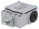 Limit switch; steel roller Ø11mm; NO + NC; 10A; max.240VAC; IP65