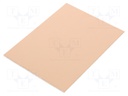 Laminate; FR4; 1.6mm; L: 75mm; W: 100mm; Coating: copper