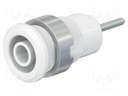 Socket; 4mm banana; 24A; 1kV; L: 35.5mm; white; nickel plated