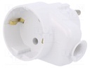 Connector: AC supply; plug/socket; Layout: 2P+PE; white; 250VAC