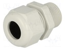 Cable gland; with long thread; M20; IP68; Mat: polyamide