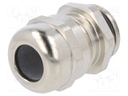 Cable gland