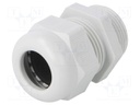 Cable gland; with thread PG; PG21; IP68; Mat: polyamide