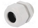 Gland; M25; IP68; 13÷18mm; Mat: thermoplastic; grey