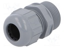 Cable gland; with long thread; M25; Mat: polyamide; dark grey