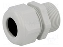 Cable gland; with long thread; PG21; IP68; Mat: polyamide; UL94V-0