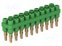 Socket strip; Connector: 2mm banana; green; 70VDC; 10A; 33VAC; 6mm