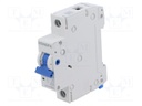 Circuit breaker; 230/400VAC; Inom: 32A; Poles: 1; Charact: B; 6kA