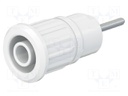 Socket; 4mm banana; 24A; 1kV; L: 35.5mm; white; nickel plated