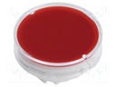 Cap; Colour: clear-red