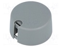 Knob; with pointer; plastic; Shaft d: 6.35mm; Ø31x16mm; grey