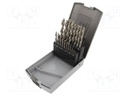 Drill set; Application: aluminium,metal,steel,cast iron; Pcs: 19