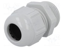 Cable gland; PG13,5; IP68; Mat: polyamide; light grey