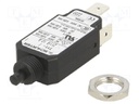 Circuit breaker; Urated: 240VAC; 48VDC; 10A; SPST; Poles: 1; screw