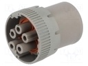 Connector: circular; HD10; plug; female; PIN: 5; for cable