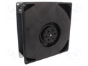 Fan: AC; blower; 220x220x56mm; 202m3/h; 2750rpm; Len: 0.325m