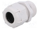 Cable gland; with long thread; PG21; IP68; Mat: polyamide; grey