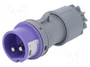 Connector: AC supply; plug; male; 32A; 24VAC; IEC 60309; IP44; PIN: 2