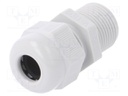 Cable gland; with thread PG,with long thread; PG11; IP68