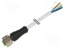 Connection lead; M12; PIN: 8; straight; 3m; plug; 30VAC; 2A; -20÷85°C