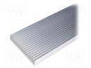 Heatsink: extruded; grilled; natural; L: 1000mm; W: 130mm; H: 25mm