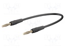 Test lead; 60VDC; 30VAC; 10A; 2mm banana plug-2mm banana plug