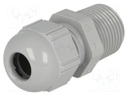 Cable gland; NPT3/8"; IP68; Mat: polyamide; grey