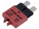 Fuse: fuse; 10A; 32VDC; automotive; 19.75mm