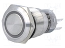 Switch: vandal resistant; Pos: 2; SPDT; 0.5A/220VAC; 1A/24VDC; IP67