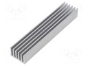 Heatsink: extruded; grilled; aluminium; L: 100mm; W: 21mm; H: 14mm